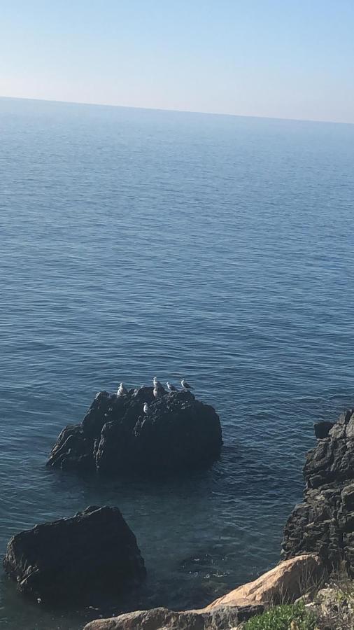 Apartamento Junto Al Mar En Costa Tropical Y Alpujarras Granadinas Melicena 외부 사진